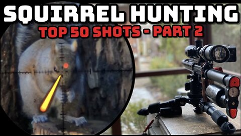 Airgun Hunting - Top 50 Shots Part 2