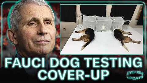 Breaking Hidden Truth Unveiled Fauci Dog Experiment Cover-up