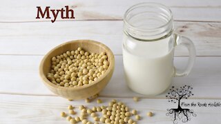 Myth: Soy mimics Estrogen