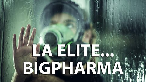 LA ELITE BIGPHARMA