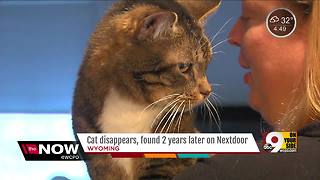 Ohio woman reunited with cat three years after he ran away