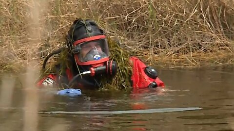 Human Arm Found in Alligator's Mouth