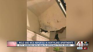 City shuts down Northland apartment complex