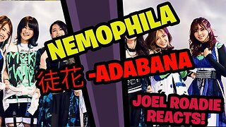 NEMOPHILA / 徒花 -ADABANA- [Official Music Video] - Roadie Reacts