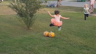 Fall Pumpkins