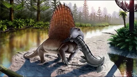 Dimetrodon - Ancient Animal