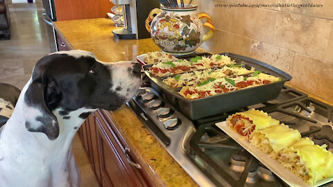 Great Dane Inspects Three Row Lasagne Pan and Rollups
