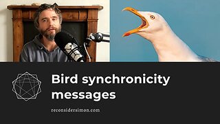 Bird synchronicity messages