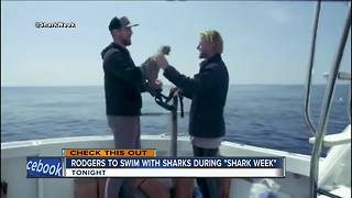 Aaron Rodgers to swim with Sharks Monday for "Shark Week"