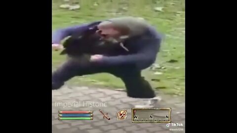 NPC Fights the Skooma - Oblivion NPC