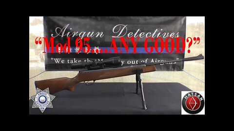 Hatsan 95 Vortex Break-barrel "Full Review" by Airgun Detectives