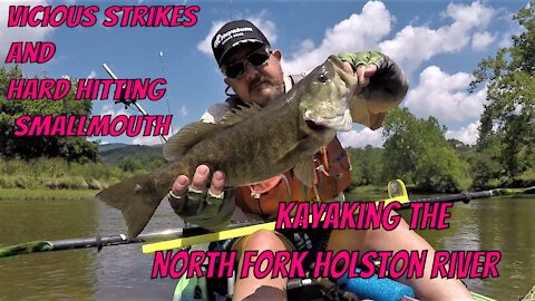 Vicious Strikes and Hard Hitting Smallmouth Kayaking the North Fork Holston River