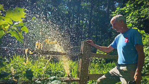 We built an irrigation system to water our garden