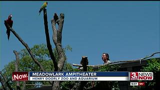 New meadowlark amphitheater at zoo