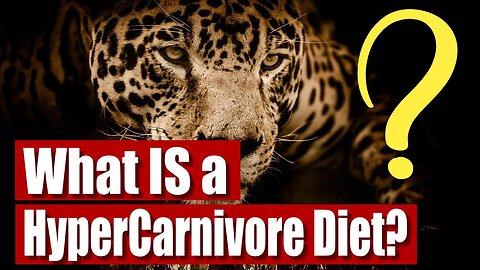 What Is A Hypercarnivore Diet? Can You Eat Fruit & Honey on Carnivore?