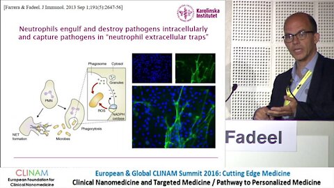 Graphene Oxide Interactions with Innate Immune Cells...