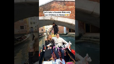 Let’s take our kittens through the Venice Canals😍🇮🇹 #travelcat