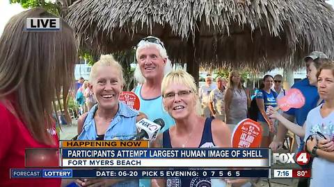 Participants attempt to break the world record in the largest human image of a seashell - 7am live report