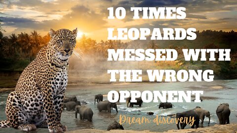 Leopards Have Messed With The Wrong Team 10 Times