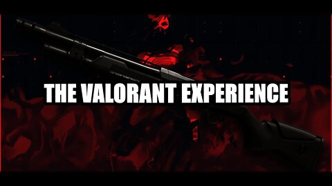 THE VALORANT EXPERIENCE