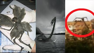 Top 10 Mysterious Phenomena!