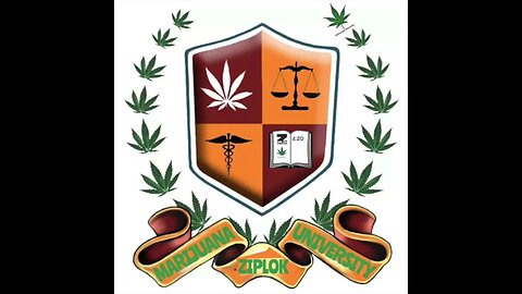 Ziplok - Superstitious - Marijuana University