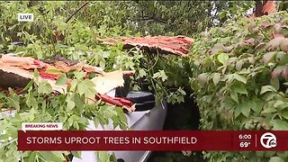 Storm brings tree down at Geoffrey Fieger's office