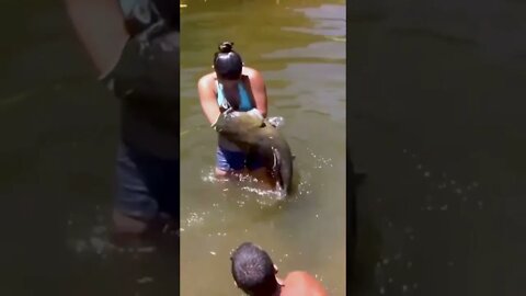 What would YOU do? #catfish #wildlife #attack #noodling