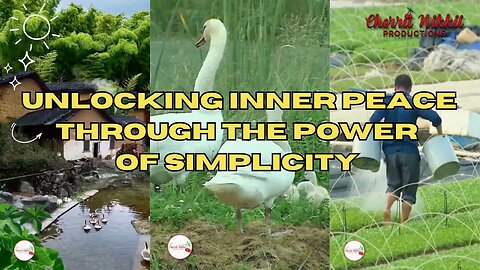 Unlocking Inner Peace Through the Power of Simplicity | 4K
