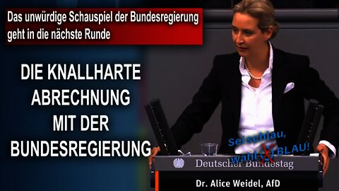 DIE KNALLHARTE ABRECHNUNG MIT DER BUNDESREGIERUNG, Dr. Alice Weidel, AfD