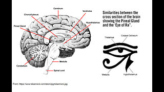 The Empire of the Pineal Gland - Conscious Rasta Report