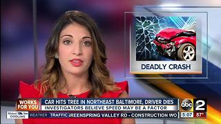 Car hits tree in NE Baltimore, driver dies