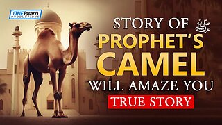 Story Of Prophet's (ﷺ) Camel Will Amaze You