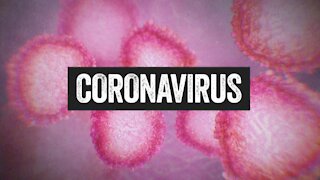 CORONAVIRUS: Nevada reports 47 new deaths, positivity rate remains above 20%