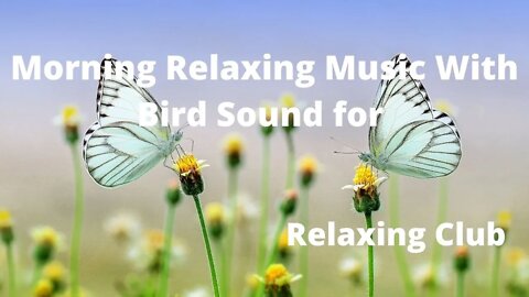 Morning Relaxing Music With Bird Sound for || Morning Bird Sound, Relaxing Music ,Nature Sound