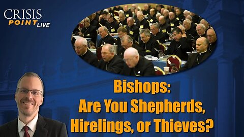 Bishops: Are You Shepherds, Hirelings, or Thieves?