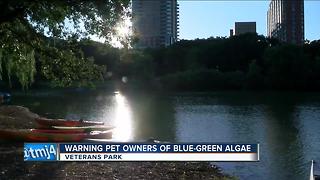 Blue-green algae found at Veteran's Park lagoon