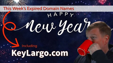 This Week's Expired Domain Names - Jan 2 - Domain To Profit - #127