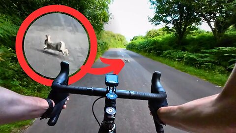 That Was Close 🐇 🚴