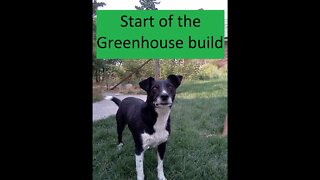 Working on the greenhouse