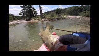 Best Bass Catches on a Fly Rod