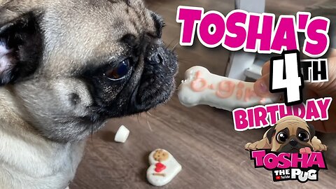 Tosha's 4th Birthday | TOSHA the PUG | Vancity Adventure