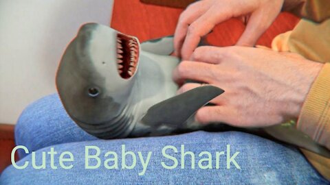 Cute Baby Shark funny video#rumble