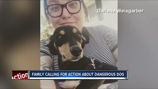 Family seeks justice after they say 'vicious' dog next door attacked, killed puppy