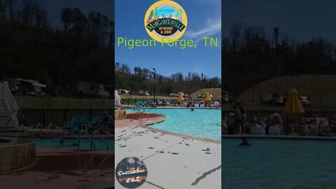 Camp Margaritaville RV Resort and Lodge Pool in March 2022