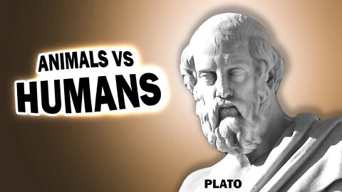 Animals Vs. Humans Shaping Reality and the Plato Effect