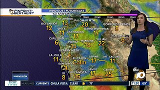 10News Pinpoint Weather with Meteorologist Megan Parry