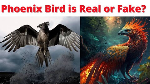 Do You Believe in This Story #fyp #conspiracy #conspiracytherory #phoenix #bird