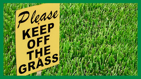 Keep Off The Lawn - The History of The Lawn | LAH