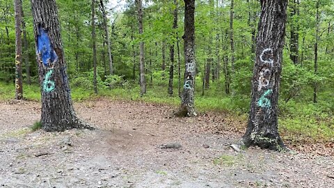 Walk and talk tour of the Devil's Tramping Ground, NC